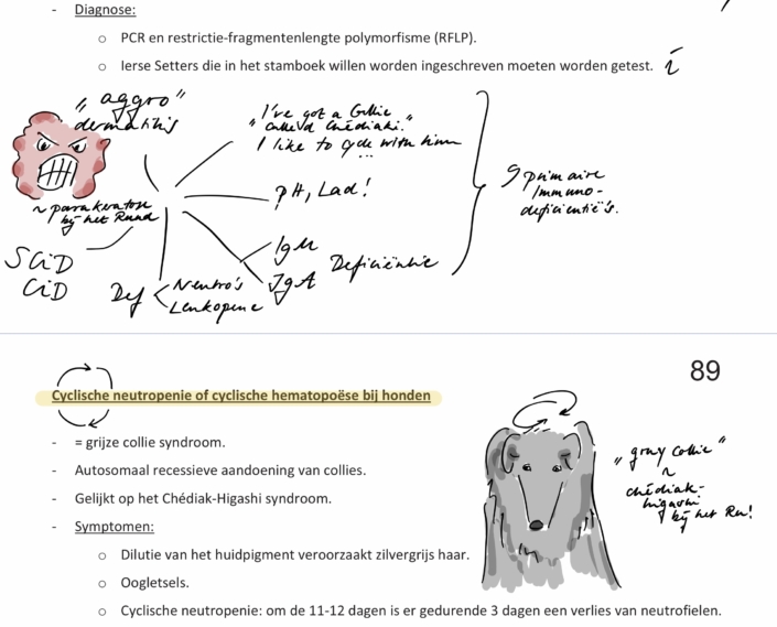 UniNotizenAnna_sketch4effects_bösezelle