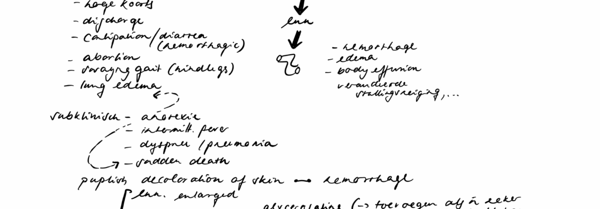 Wissenschaftliche Sketchnote